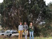 Weed Warriors Group Weed Warriors Group