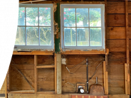 Rotten Wood