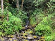 Creek at Big Quilcene