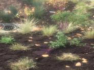 Beautiful landscaping