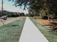 Seeding was put down as a final step in this project