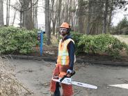 Chris cutting up a tree (use on transportation page)