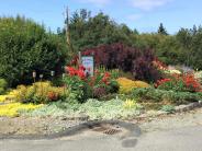 Dahlia Park