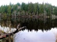 Gibbs Lake Park