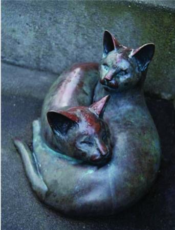 Two Cats from Clinton