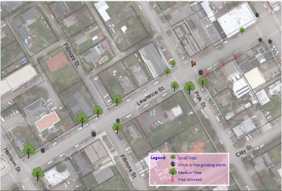 Lawrence St Tree Plan (Updated)