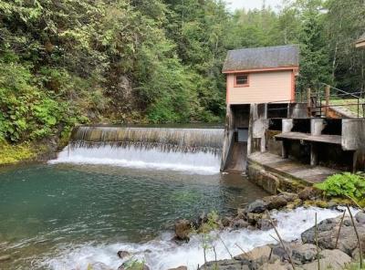 Quilcene River 
