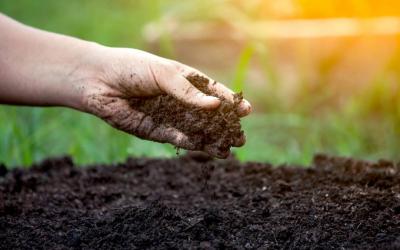 Soil