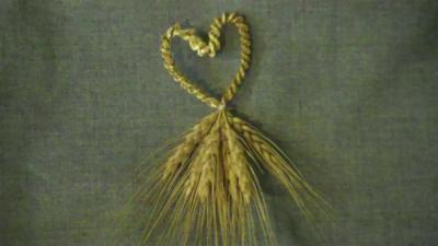 wheat 