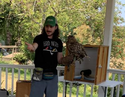meet the birds