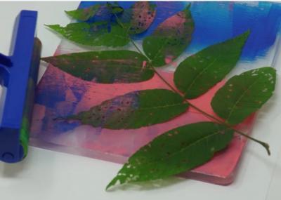 Gel Printing 