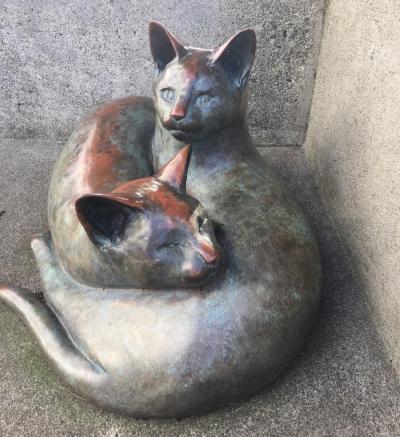 Cats