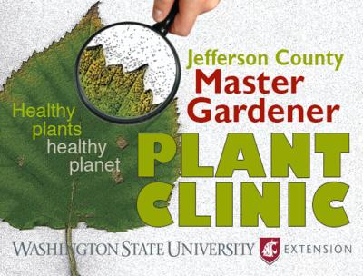 Plant Clinics Plant Clinics