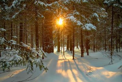 Solstice 