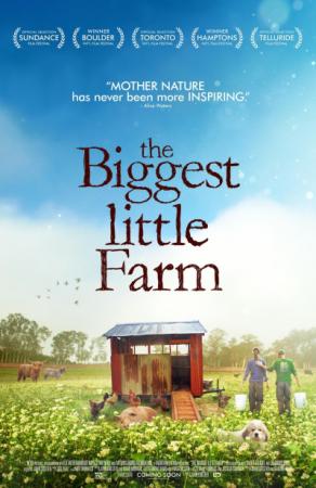 Film Poster