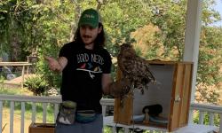 meet the birds