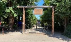 Summer Garden Program