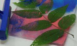 Gel Printing 
