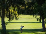 Golf Course